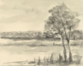 Picture of GRAPHITE PLEIN AIR STUDY II