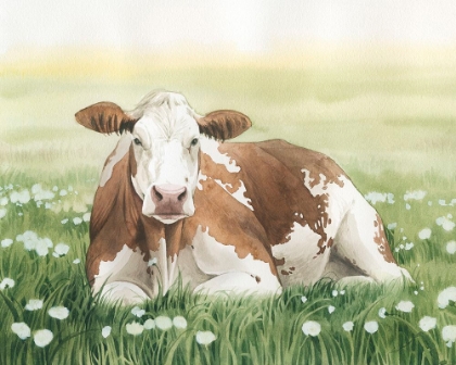 Picture of WILDFLOWER MEADOW II