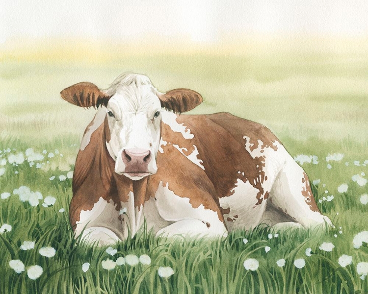 Picture of WILDFLOWER MEADOW II