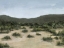 Picture of HIGH NOON I