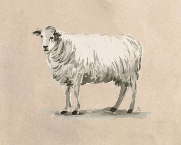 Picture of ANTIQUE FARM CAMEO IV