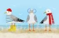 Picture of SASSY SEAGULL TRIO I