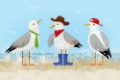 Picture of SASSY SEAGULL TRIO II