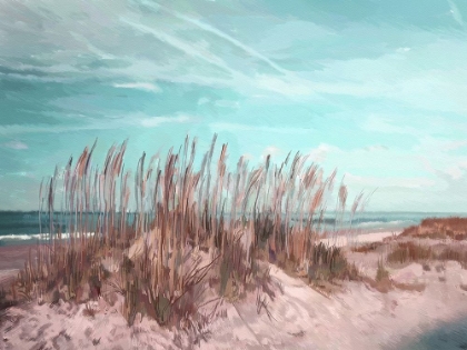 Picture of DRAMATIC DUNES  III