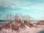 Picture of DRAMATIC DUNES  III