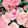 Picture of ABOUT ROSES I