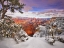Picture of GRAND CANYON SNOW I