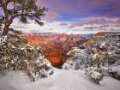 Picture of GRAND CANYON SNOW I