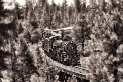 Picture of TRAIN TO GRAND CANYON