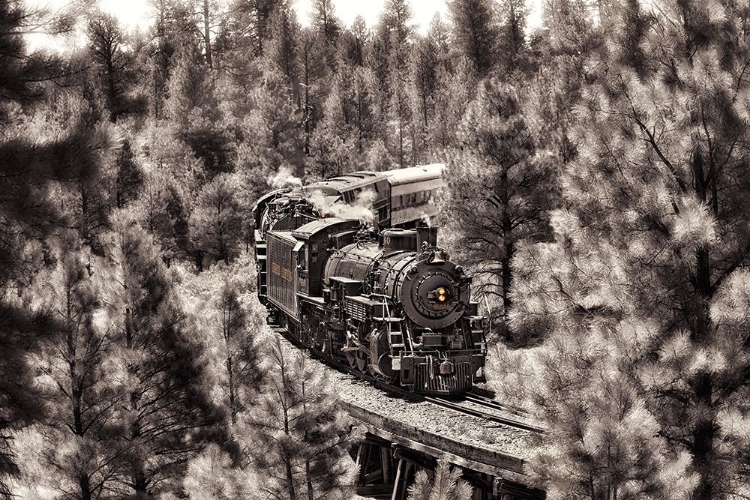 Picture of TRAIN TO GRAND CANYON