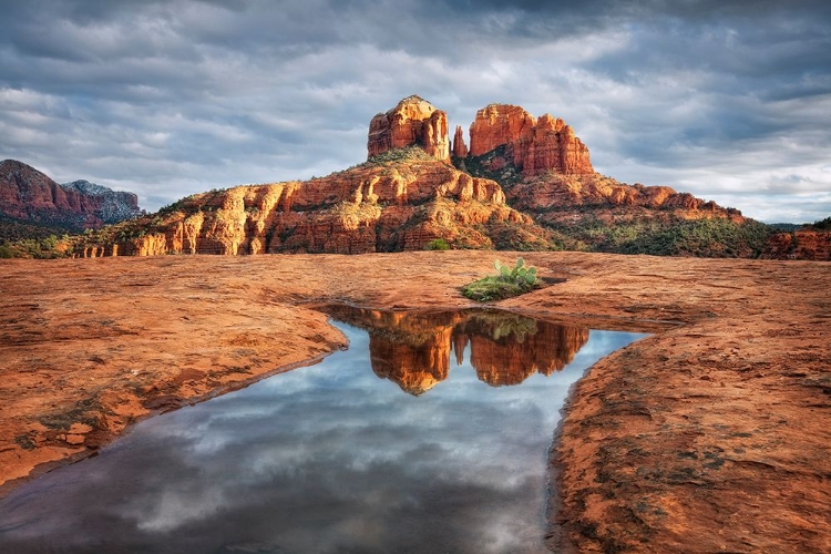 Picture of CATHEDRAL ROCK REFLECTION