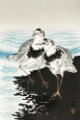 Picture of KOSON SANDPIPERS II