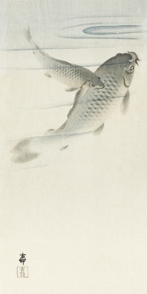 Picture of KOSONS CARP I