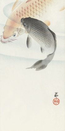 Picture of KOSONS CARP II
