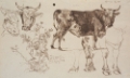 Picture of COW STUDIES I