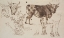 Picture of COW STUDIES I