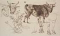 Picture of COW STUDIES I