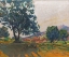 Picture of STEVNS OLIVE GROVES II