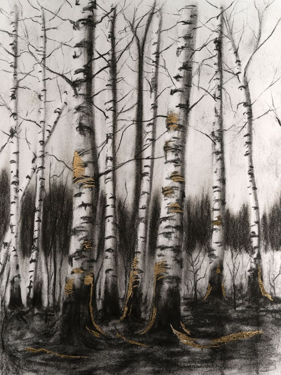 Picture of CHARCOAL BIRCH STAND II