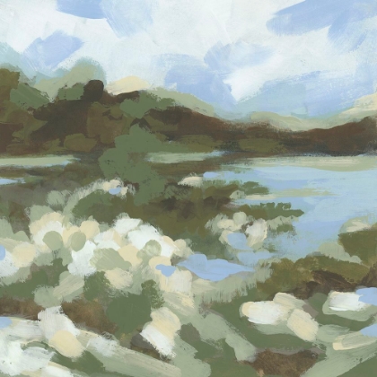 Picture of MOUNTAIN MARSH I