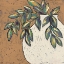 Picture of PRIMITIVE II