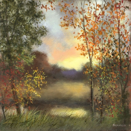 Picture of FIRST GLANCE