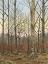 Picture of AUTUMN CLEARING I