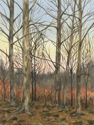 Picture of AUTUMN CLEARING II