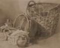 Picture of DEWINTS BASKET STILL LIFE II