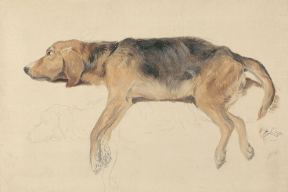 Picture of STUDY OF DOGS I