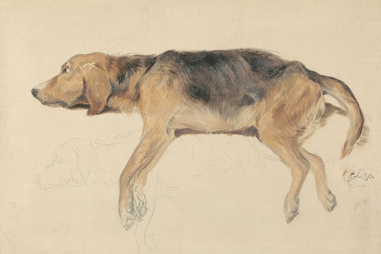 Picture of STUDY OF DOGS I