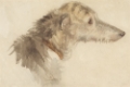 Picture of STUDY OF DOGS II