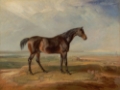 Picture of WARDS HORSE IN OIL I
