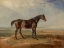 Picture of WARDS HORSE IN OIL I