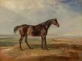 Picture of WARDS HORSE IN OIL I