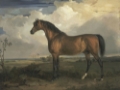 Picture of WARDS HORSE IN OIL II