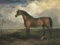 Picture of WARDS HORSE IN OIL II