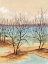 Picture of QUIET COVE II