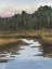 Picture of CORDGRASS ESTUARY II