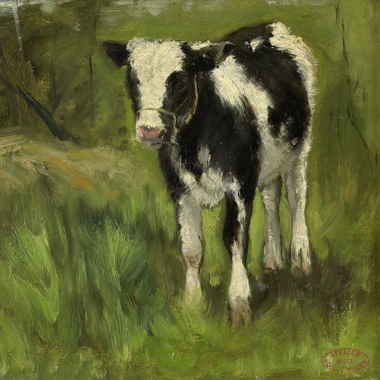 Picture of POGGENBEEKS CALF I