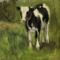 Picture of POGGENBEEKS CALF I