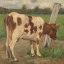 Picture of POGGENBEEKS CALF II