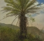 Picture of JAMAICAN PALMS II