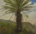 Picture of JAMAICAN PALMS II