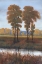 Picture of IN THE SHADOW II