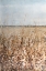 Picture of OCHRE LANDSCAPE I