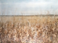 Picture of OCHRE LANDSCAPE III