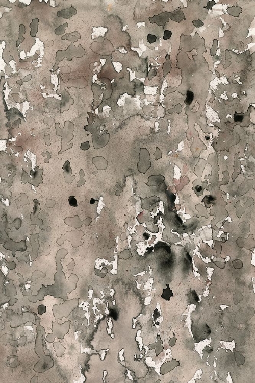 Picture of ANATOMY BARK I