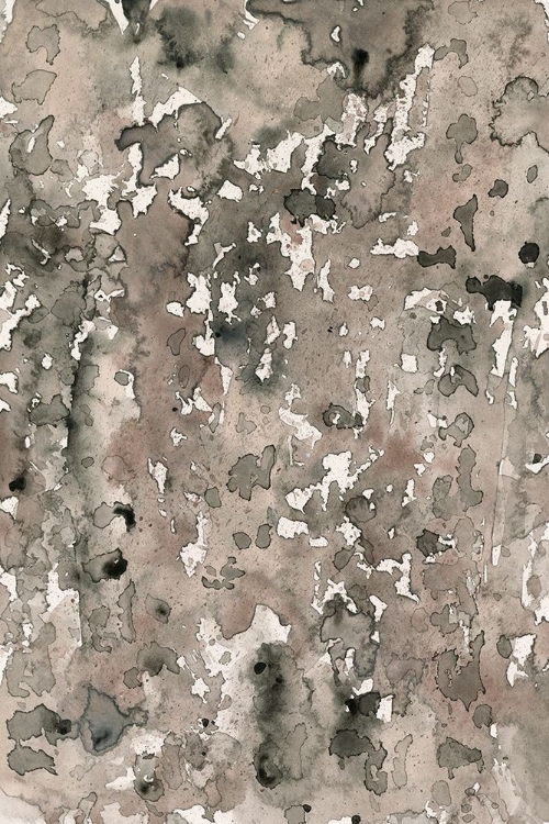 Picture of ANATOMY BARK II