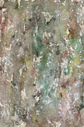 Picture of ABSTRACT BARK I